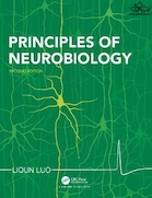 Principles of Neurobiology | کتاب اصول نوروبیولوژی ویرایش دوم